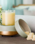 Fragrance Warmers