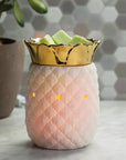 Fragrance Warmers
