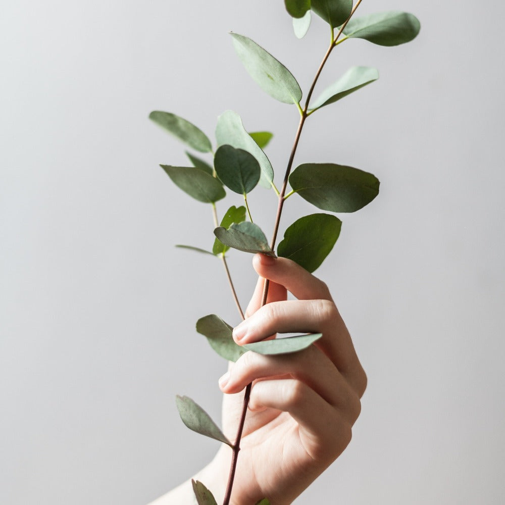 Customize your own lotion