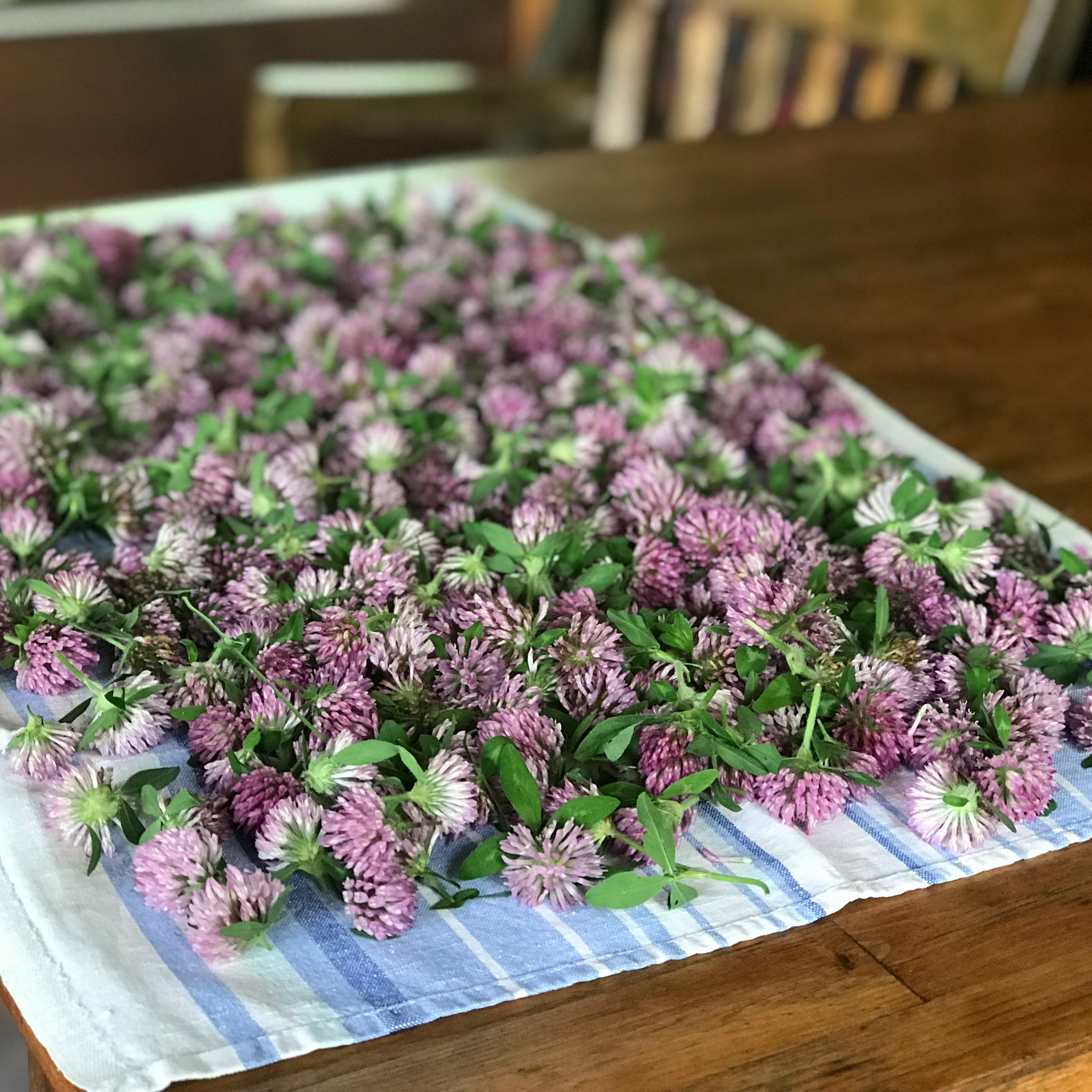 Solid Lotion: Customize your own