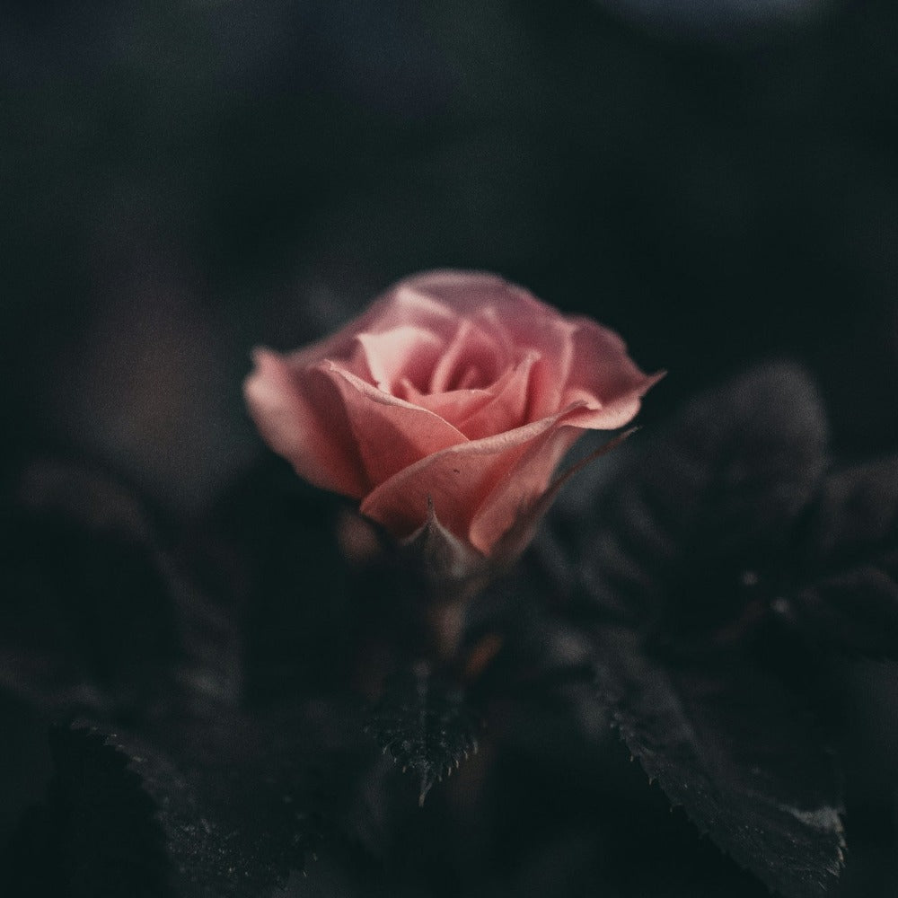 Customize your own lotion