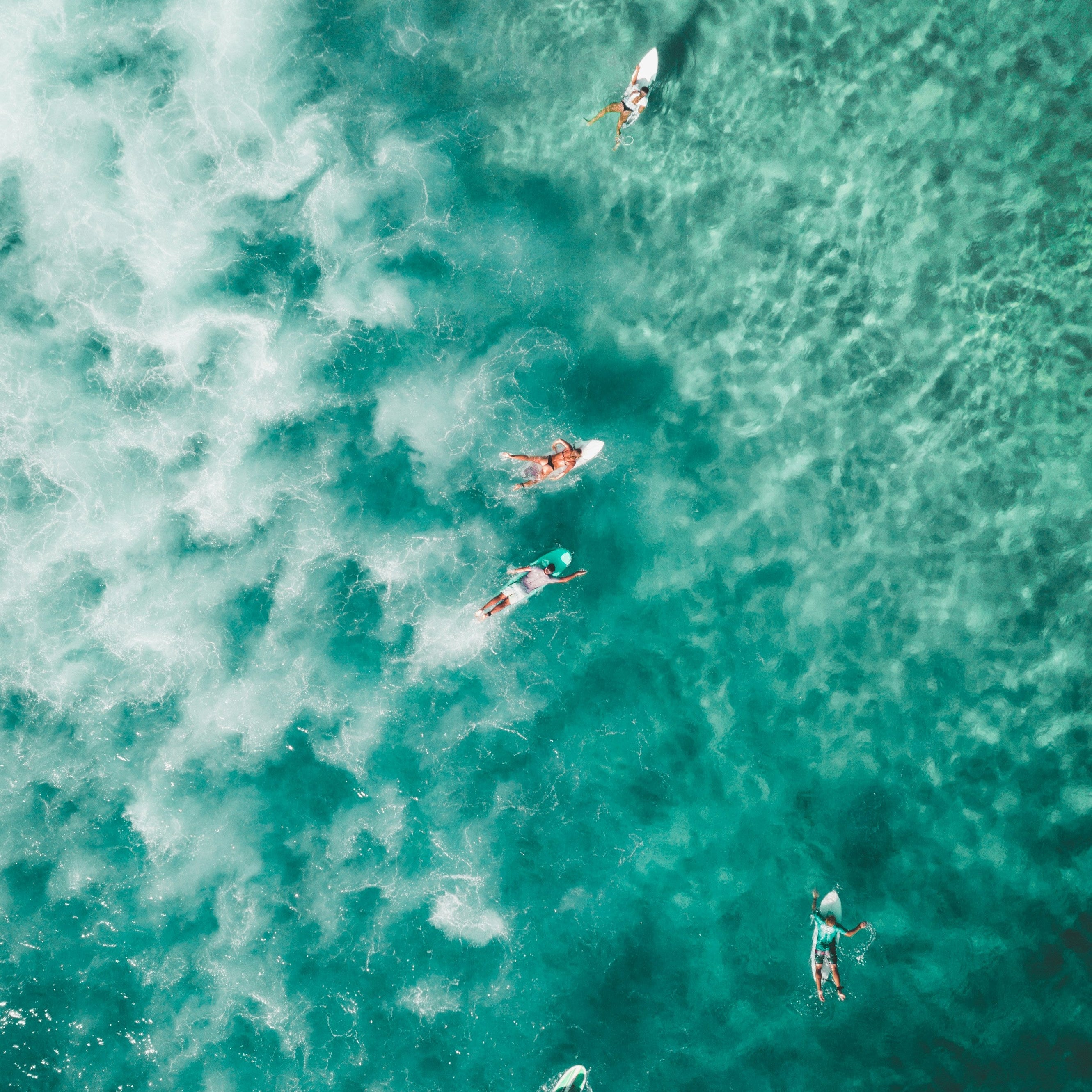 Solid Lotion: Customize your own